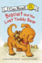 Biscuit and the Lost Teddy Bear (My First I Can Read, 121)