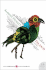 Island (Harper Perennial Olive Editions)