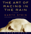 The Art of Racing in the Rain