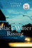Black Water Rising: a Gripping 1980s Legal Thriller of Crime, Corruption, and Racial Injustice in Houston (Jay Porter Series, 1)
