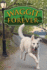 Waggit Forever (Waggit, 3)