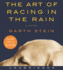 The Art of Racing in the Rain Low Price Cd