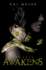 Arcadia Awakens (Arcadia Awakens-Trilogy)