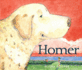 Homer: a Gentle Picture Book About a Dog's Love and Home for Kids (Ages 4-8)