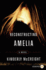 Reconstructing Amelia