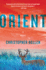 Orient: a Summer Page-Turner-a Literary Thriller of Murder on Long Island