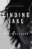 Finding Jake: an Emotionally Wrenching Psychological Thriller About a Father's Darkest Fear