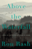 Above the Waterfall: a Gripping Southern Gothic Noir of Betrayal and Redemption in Appalachia