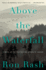 Above the Waterfall: a Gripping Southern Gothic Noir of Betrayal and Redemption in Appalachia