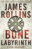 The Bone Labyrinth: a Thrilling Sigma Force Adventure Unveiling Ancient Mysteries and Modern Genetic Science