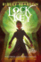 Lock and Key: the Final Step (Lock and Key, 3)