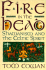 Fire in the Head: Shamanism and the Celtic Spirit-a Cross-Cultural Exploration of the Visionary Experience