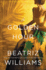 The Golden Hour: a Novel