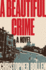 A Beautiful Crime: a Novel