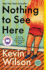 Nothing to See Here: a Novel