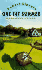 One Fat Summer (Ursula Nordstrom Book)