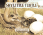 Shy Little Turtle