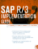Sap R/3 Implementation