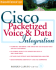 Cisco Packetized Voice & Data Integration