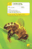 Teach Yourself Beekeeping: the Ideal Introduction for Anyone to Become and Amateur Or Professional Beekeeper (Teach Yourself: Animals)