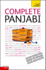 Complete Panjabi: a Teach Yourself Guide (Teach Yourself Language)