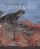 Animal Diversity