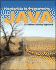Introduction to Programming With Java: a Problem Solving Approach