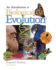 An Introduction to Biological Evolution