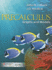 Precalculus: Graphs & Models Annotated Instructor's Edition By John W Coburn (2012) Hardcover