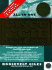 The Ccie Study Guide