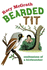 Bearded Tit: a Love Story With Feathers