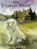 One Stormy Night (Red Fox Picture Books)