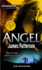 Maximum Ride Angel