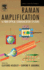 Raman Amplification in Fiber Optical Communication Systems