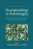 Neurophysiology in Neurosurgery: a Modern Intraoperative Approach