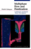 Multiphase Flow and Fluidization: Continuum and Kinetic Theory Descriptions