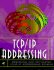Tcp/Ip Addressing: Designing and Optimizing Your Ip Addressing Scheme