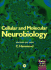 Cellular and Molecular Neurobiology