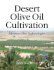 Desert Olive Oil Cultivation: Advanced Biotechnologies