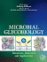 Microbial Glycobiology