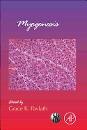 Myogenesis