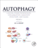 Autophagy: Cancer, Other Pathologies, Inflammation, Immunity, Infection, and Aging: Volume 4-Mitophagy
