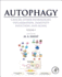 Autophagy: Cancer, Other Pathologies, Inflammation, Immunity, Infection, and Aging: Volume 1-Molecular Mechanisms