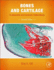 Bones and Cartilage: Developmental and Evolutionary Skeletal Biology 2ed