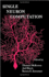 Single Neuron Computation (Neural Networks: Foundations to Applications)