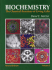 Biochemistry: the Chemical Reactions of Living Cells (Volume 1)