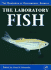 The Laboratory Fish (Handbook of Experimental Animals)