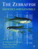 The Zebrafish: Genetics and Genomics (Methods in Cell Biology, Volume 60)