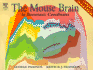 The Mouse Brain in Stereotaxic Coordinates: Compact Second Edition, Second Edition