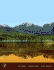 Environmental and Pollution Science